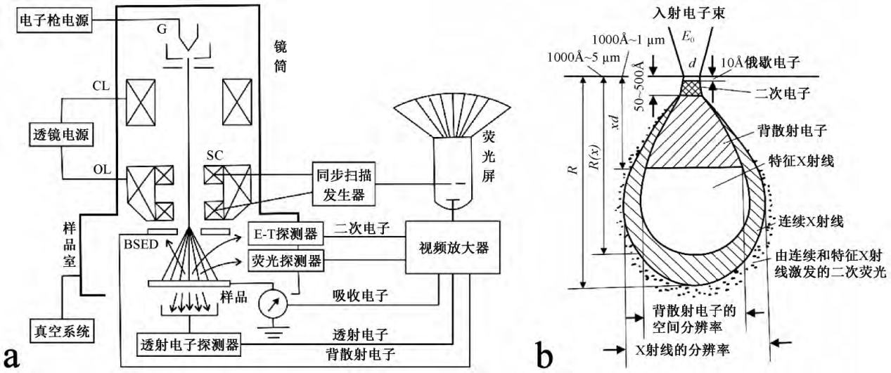 掃描電子顯微鏡原理圖
