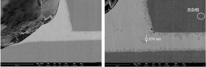 掃描電鏡+離子研磨 